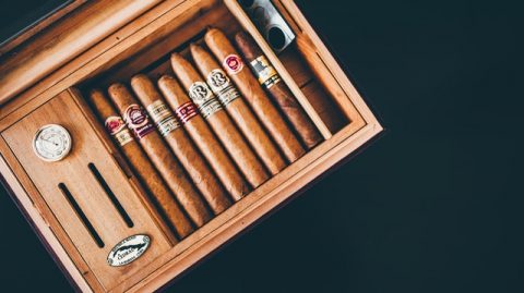 Cave à cigare et cigares pour les débutants